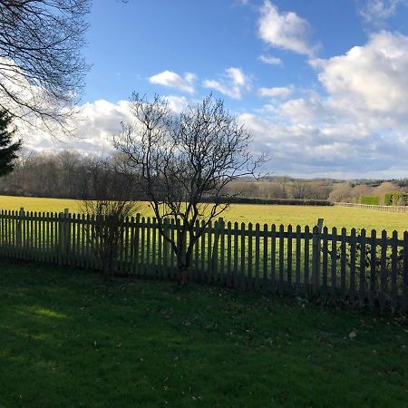 Self Contained Garden Studio With Stunning Views سيسينغورست المظهر الخارجي الصورة
