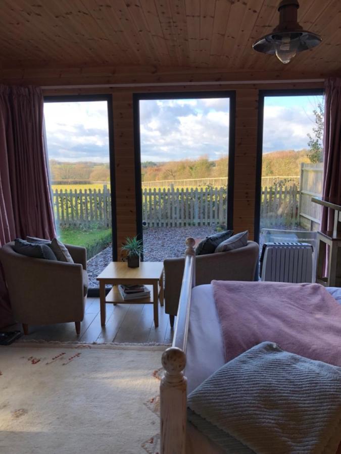 Self Contained Garden Studio With Stunning Views سيسينغورست المظهر الخارجي الصورة