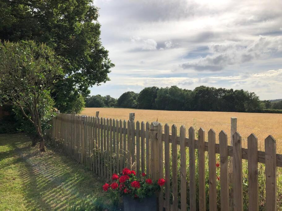 Self Contained Garden Studio With Stunning Views سيسينغورست المظهر الخارجي الصورة