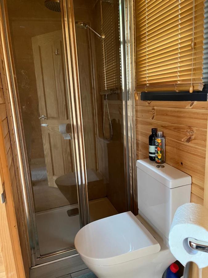 Self Contained Garden Studio With Stunning Views سيسينغورست المظهر الخارجي الصورة